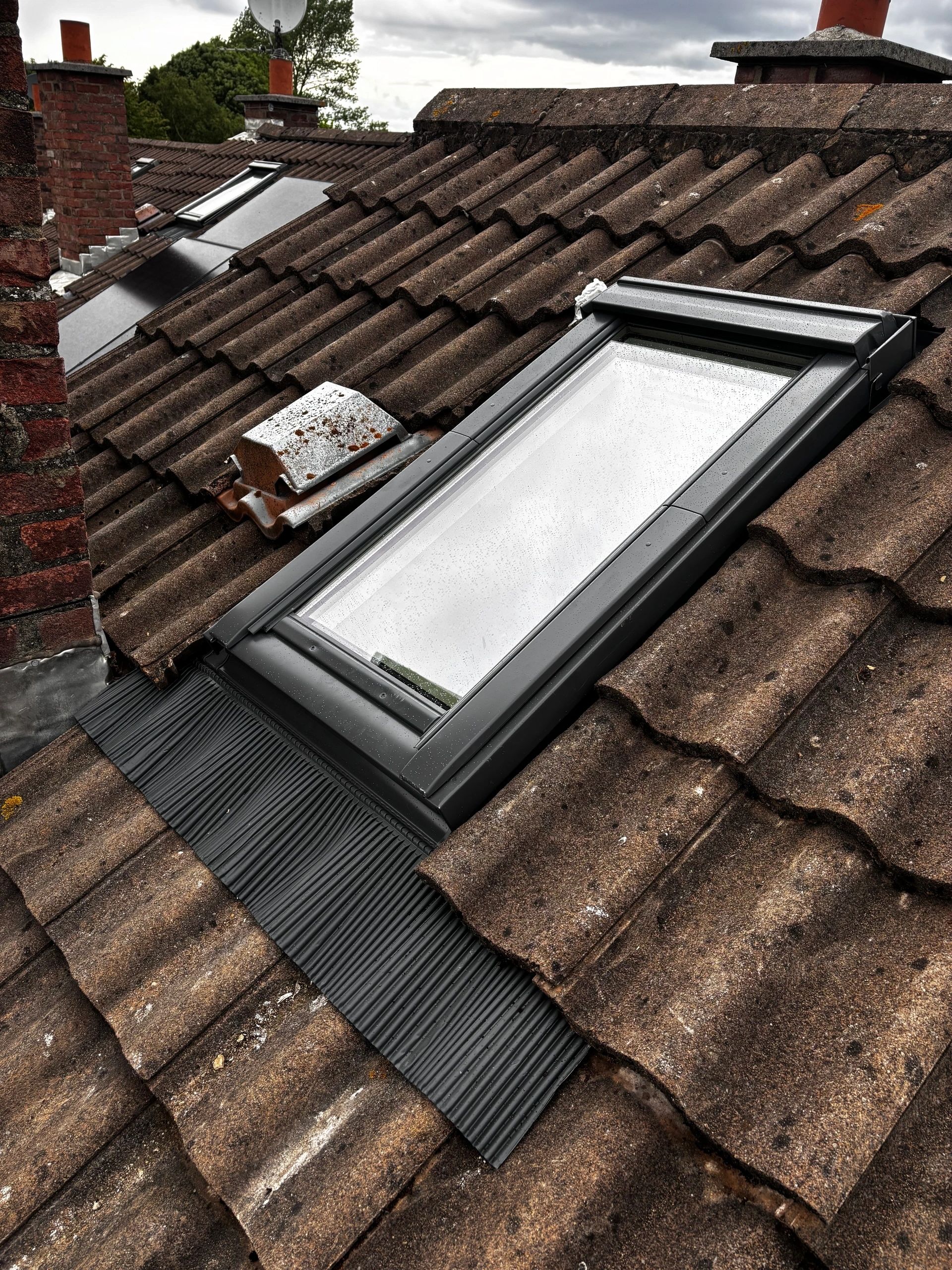 Velux & Skylight Windows